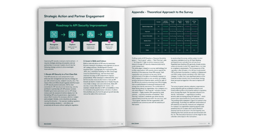 API Security report example 2