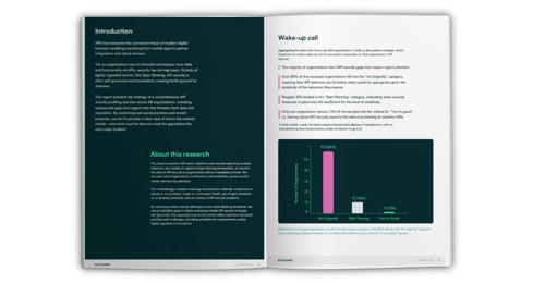 API Security report example
